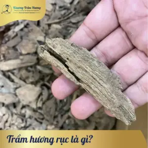 Trầm hương rục là gì?